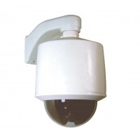 OUTDOOR PENDANT FIXED CAMERA DOME; includes 1/3-in. high-resolution day/night camera